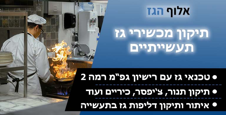 תיקון מכשירי גז תעשייתיים